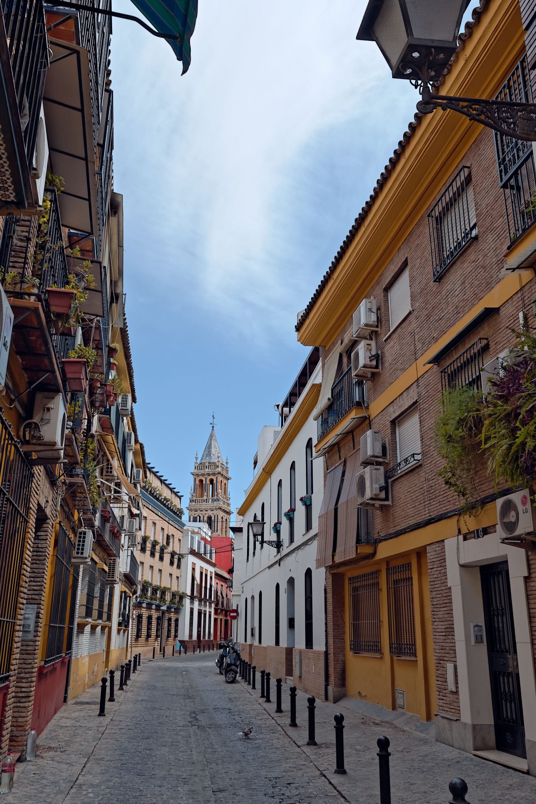 asesoria fincas madrid, fincas getafe, gestor fincas getafe, administrador de fincas comunidad de madrid asesoria fincas madrid, fincas getafe, gestor fincas getafe, administrador de fincas comunidad de madrid